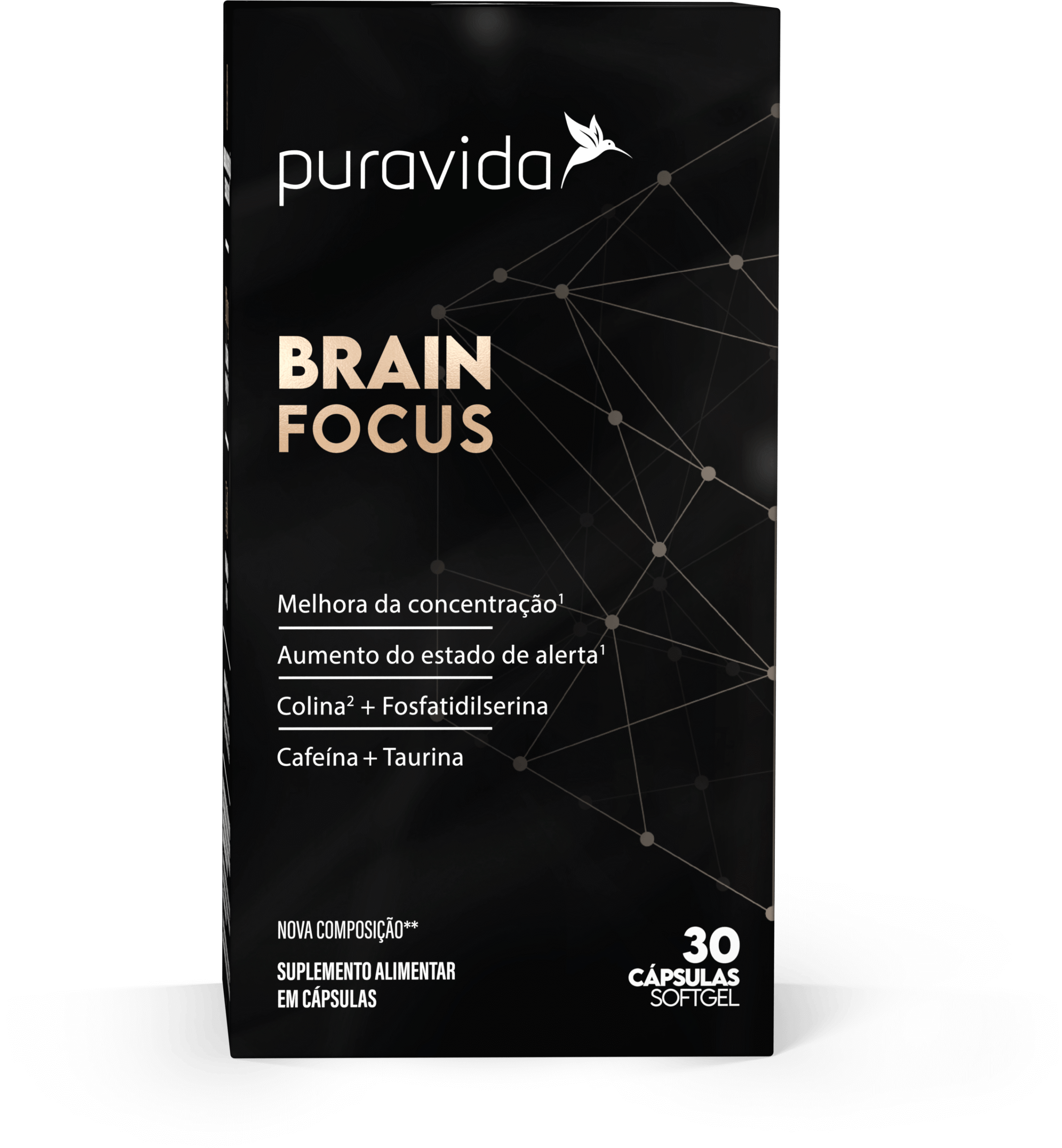 Brain Focus